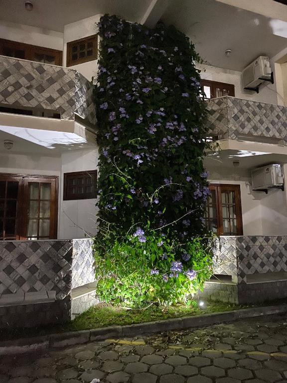 Zahrada ubytování Eden Praia Hotel