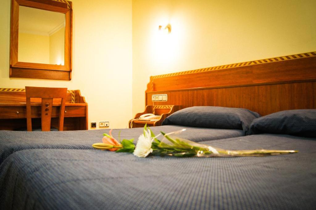 Guest house Duquesa Centro, Granada, Spain - Booking.com