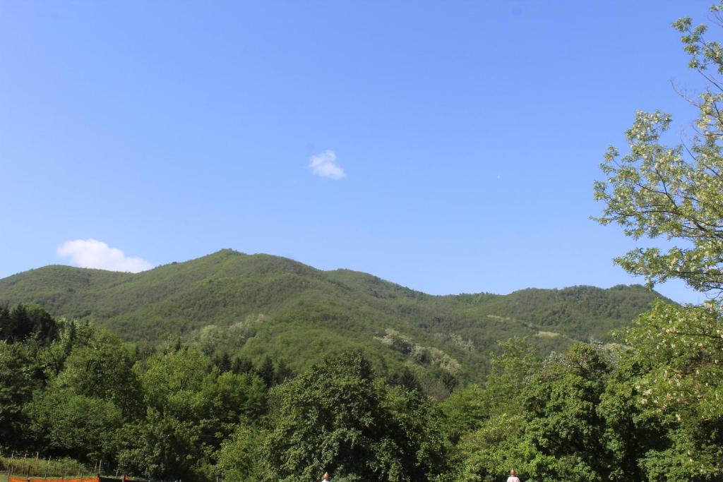 Príroda v okolí farmy