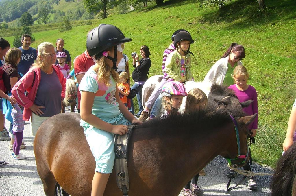 Ubytování Feriendorf Ponyhof nebo v jeho okolí