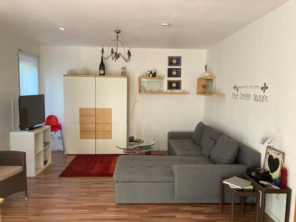 ホンブルクにあるFerienwohnung Happinessのリビングルーム(灰色のソファ、テレビ付)