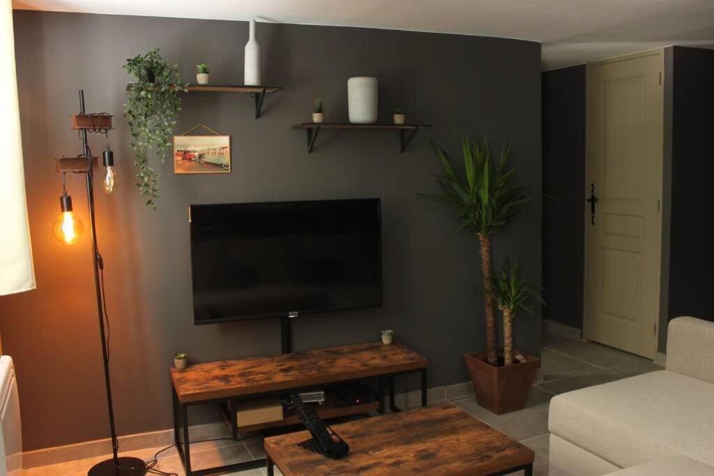 een woonkamer met een flatscreen-tv aan de muur bij Appartement avec vue sur la Sorgue in Fontaine-de-Vaucluse