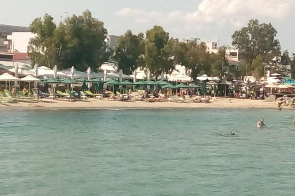 Príroda v okolí dovolenkového domu