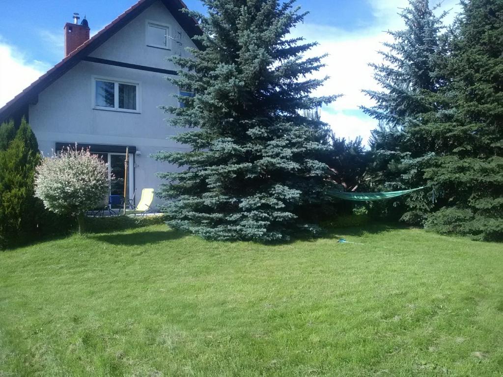 Vườn quanh Agro-szyszynka