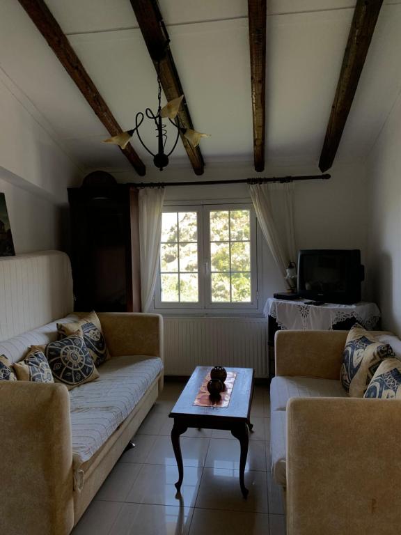 a living room with a couch and a table at Villa Riverside in Platána
