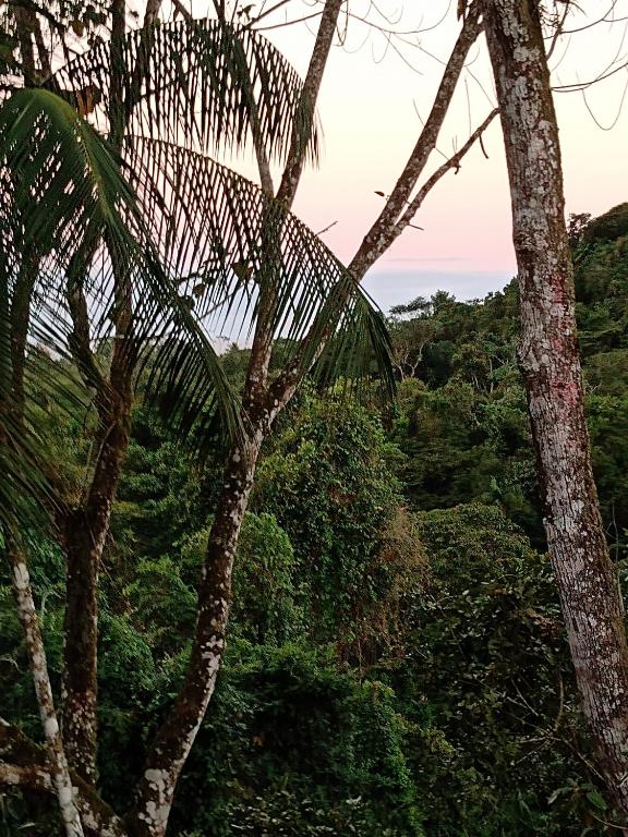  Chalés e Suites Manacá