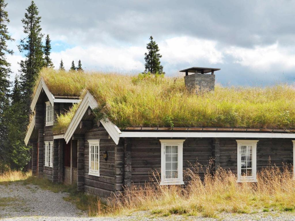 uma velha cabana de madeira com telhado de relva em 12 person holiday home in F vang em Tromsnes