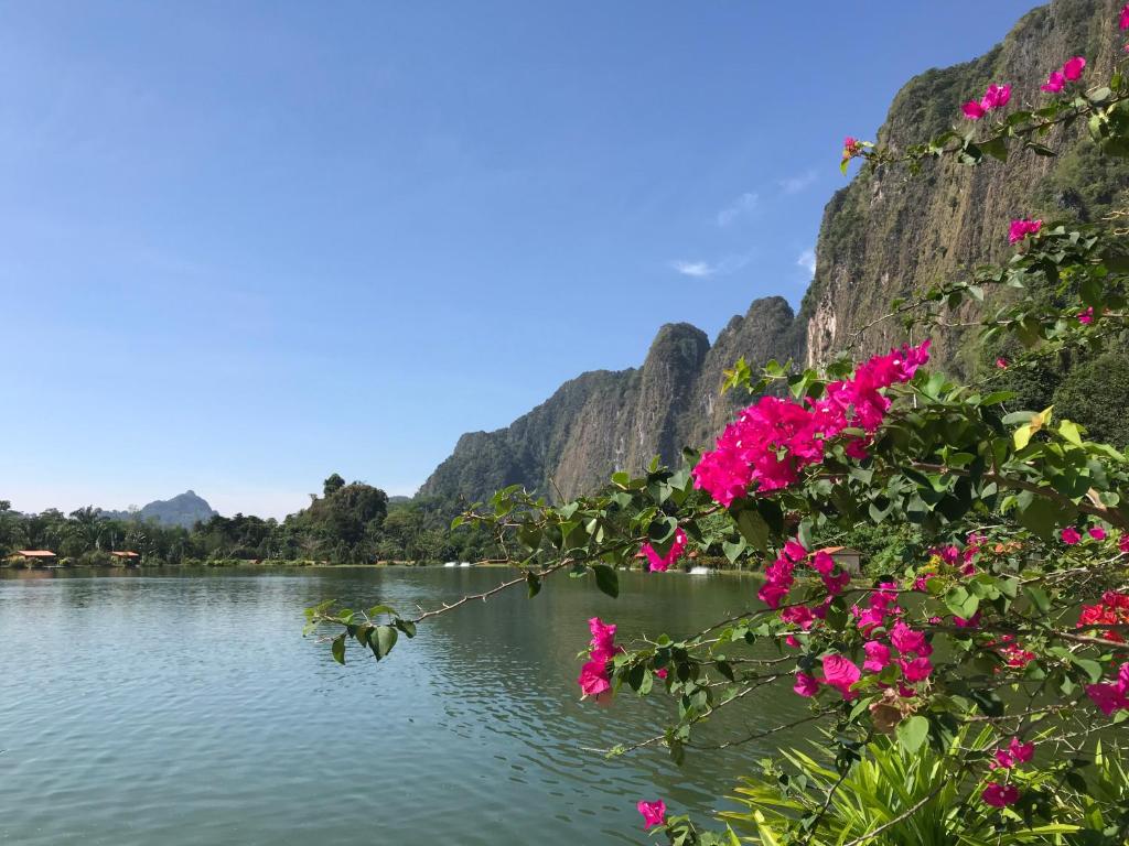 - une vue sur une rivière aux fleurs roses dans l'établissement Exotic Fishing Thailand, à Phangnga