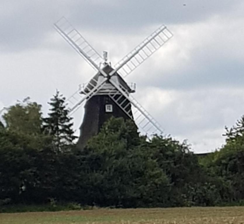 un moulin à vent au milieu d'un champ dans l'établissement Mühlenblick, à Klütz