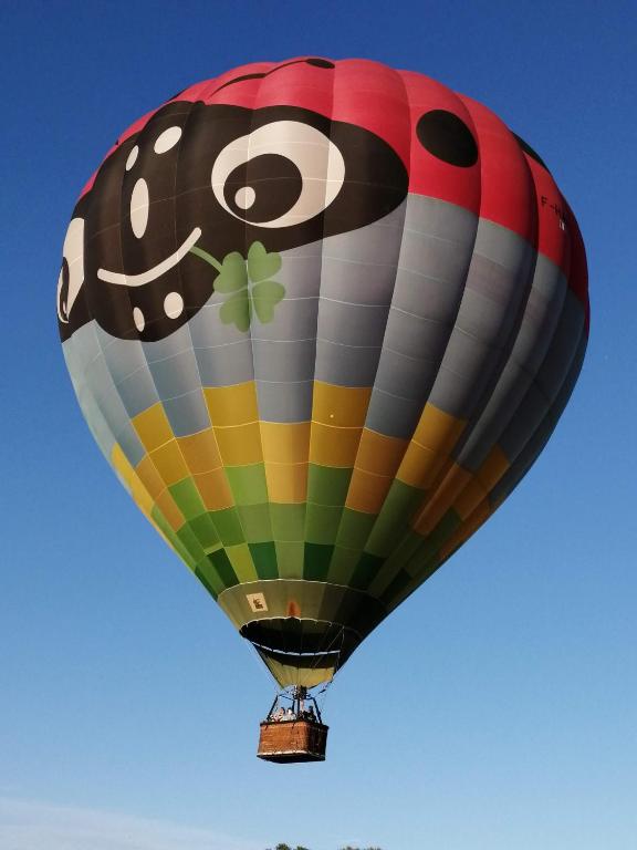 a colorful hot air balloon flying in the sky at L&#39;Orme Seul, Maison d&#39;hôtes in Vineuil
