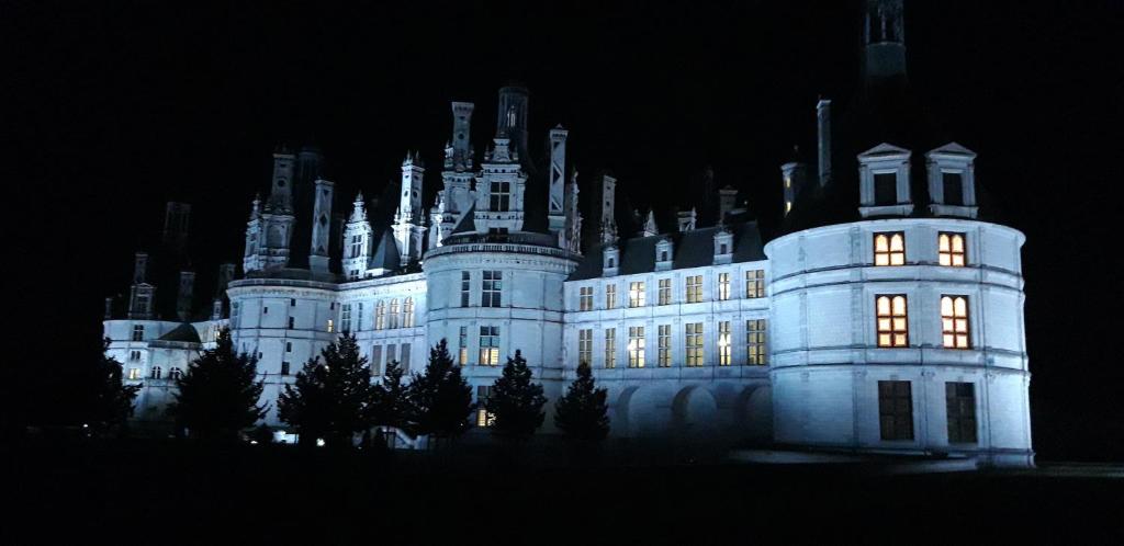 a castle at night with its lights on at L&#39;Orme Seul, Maison d&#39;hôtes in Vineuil