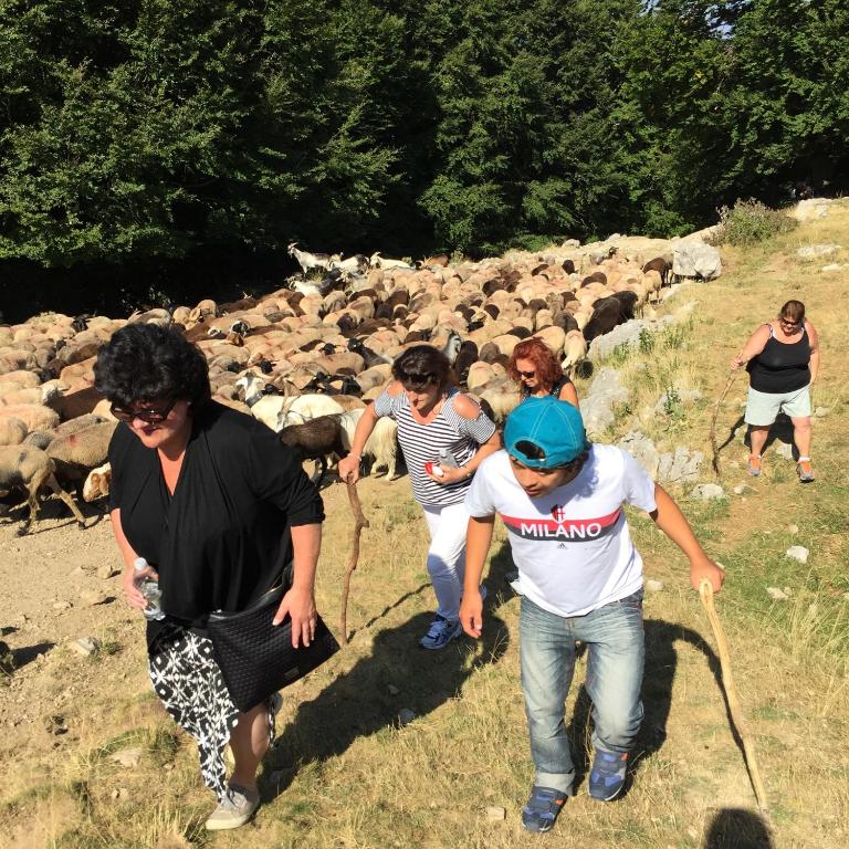Hosté ubytování Albergo Diffuso Sotto Le Stelle