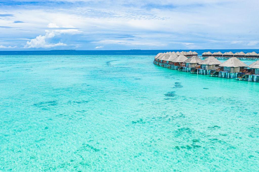 Sun Siyam Vilu Reef - 24 Hours All-Inclusive Dine-Around with Complimentary Return Trip - View 25