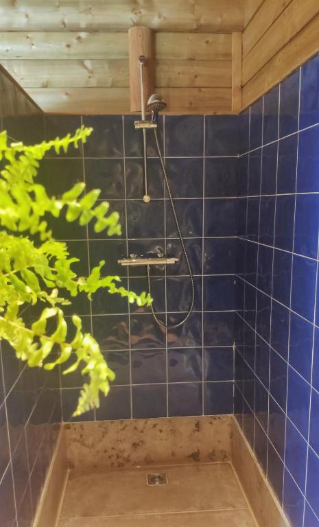 Koupelna v ubytování B&B Aquavert