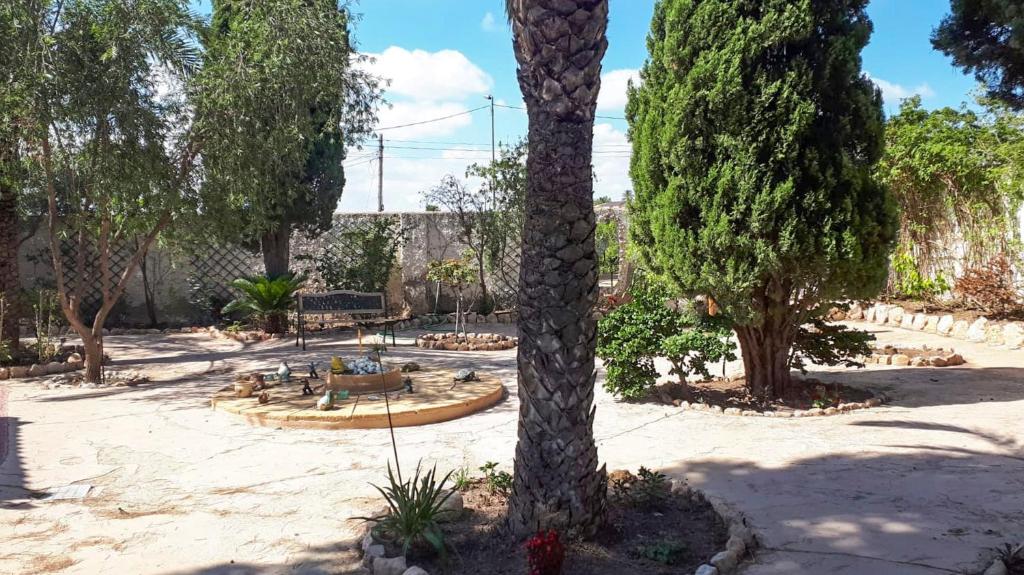 A garden outside la casita de invitados