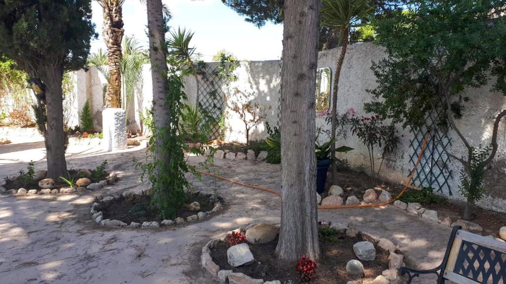 A garden outside la casita de invitados