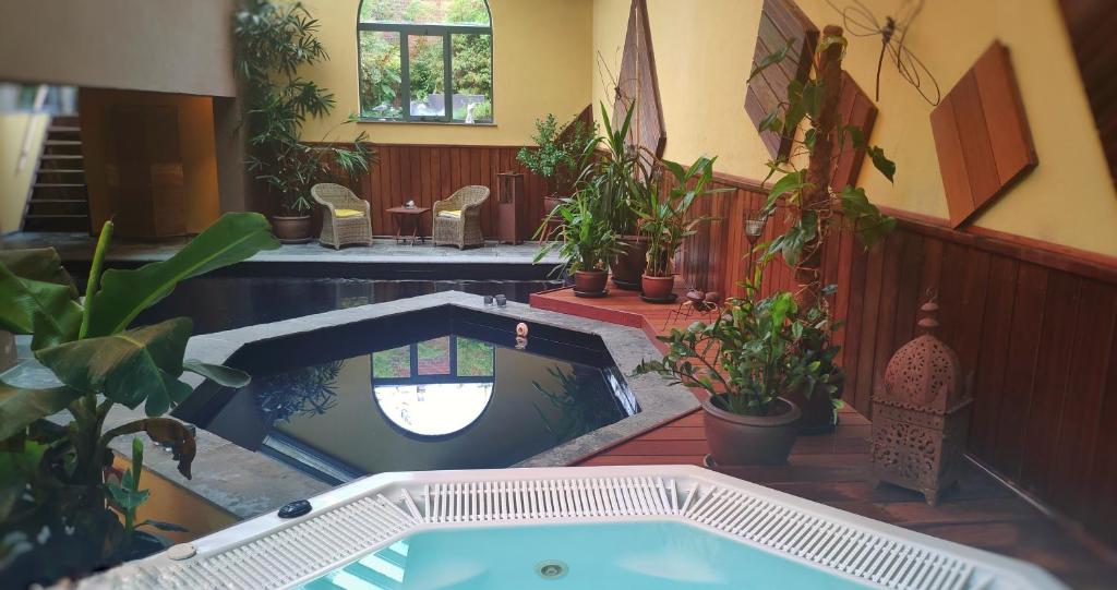 una gran piscina cubierta con macetas en una habitación en B&B Aquavert & Wellness en Tournai