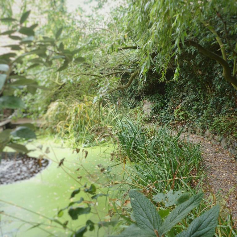 a dirt road next to a river with grass at B&amp;B Aquavert &amp; Wellness in Tournai