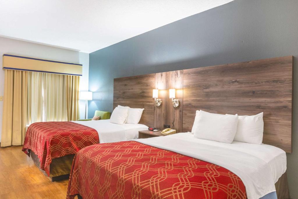 Royal Palms Inn - Sala Regina Con Due Letti Queeni - Fumi