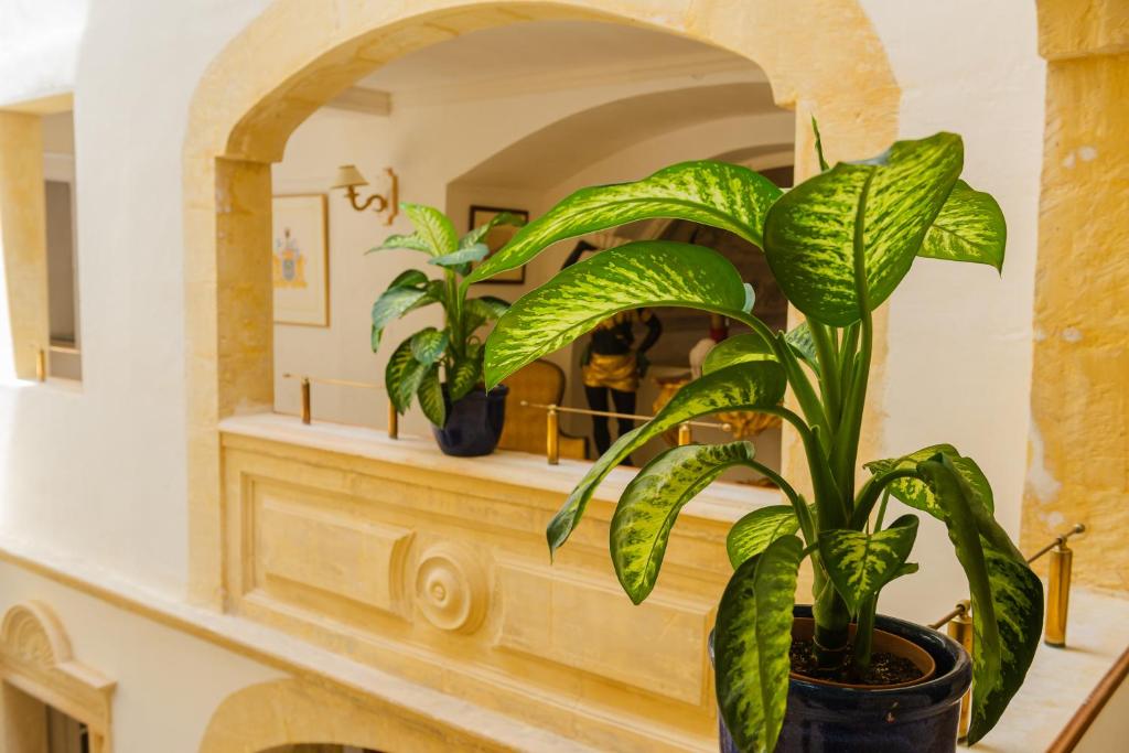 Fotografie z fotogalerie ubytování Casa Rocca Piccola B&B v destinaci Valletta