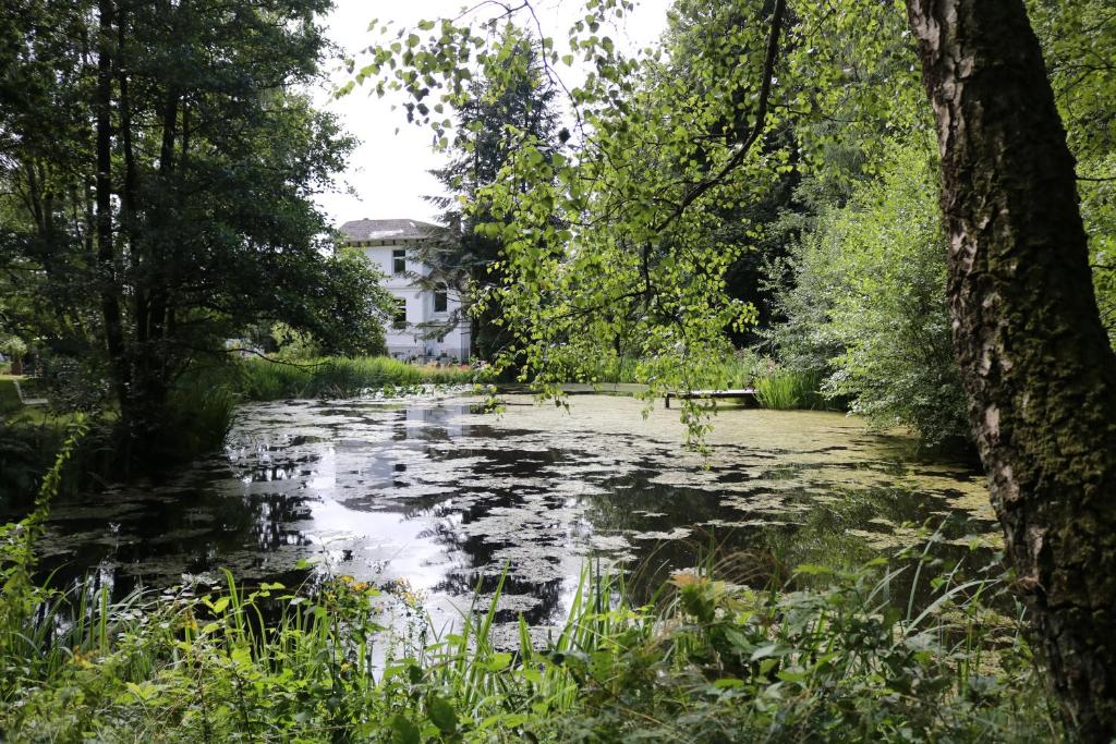 ein Fluss mit einem Haus im Hintergrund in der Unterkunft Villa Elisenruh in Schmalfeld