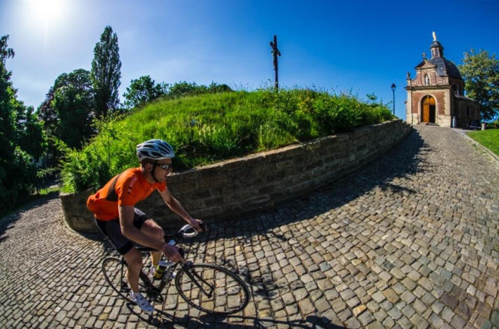 Jízda na kole v ubytování Villa Blue Garden B&B Vlaamse Ardennen nabij Pairi Daiza nebo okolí