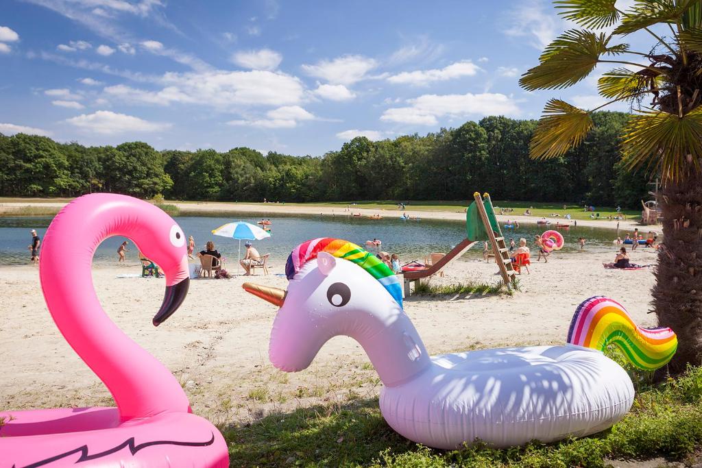 two plastic swans on a beach with people in the water at Oostappen Vakantiepark Hengelhoef NV in Houthalen-Helchteren