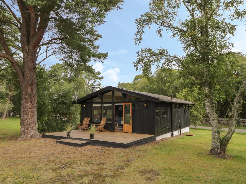 a black tiny house with a deck and a tree at Blue Pine Lodge in Dornoch