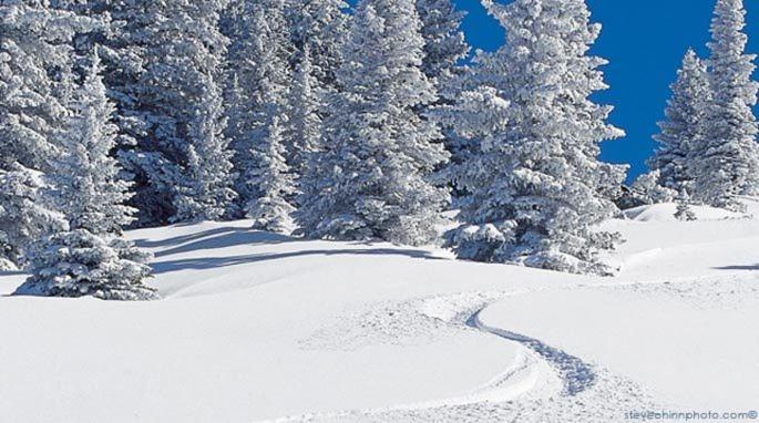 GetAways at Falcon Point Resort v zimě
