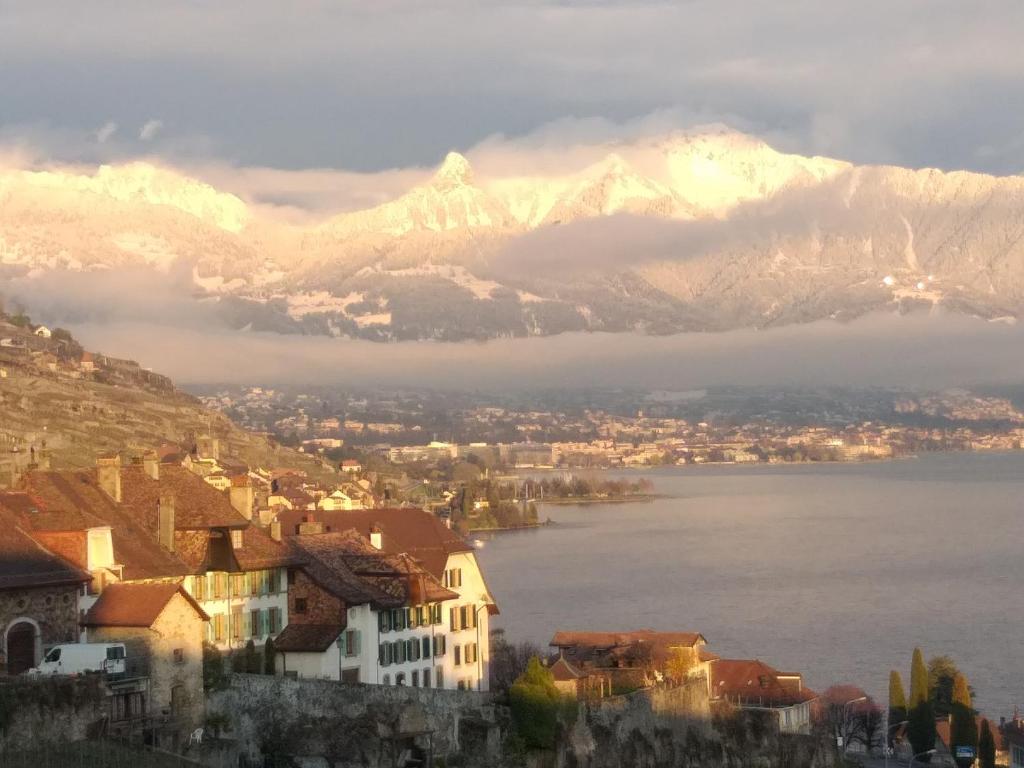 Paesaggio naturale nelle vicinanze della stanza in casa privata
