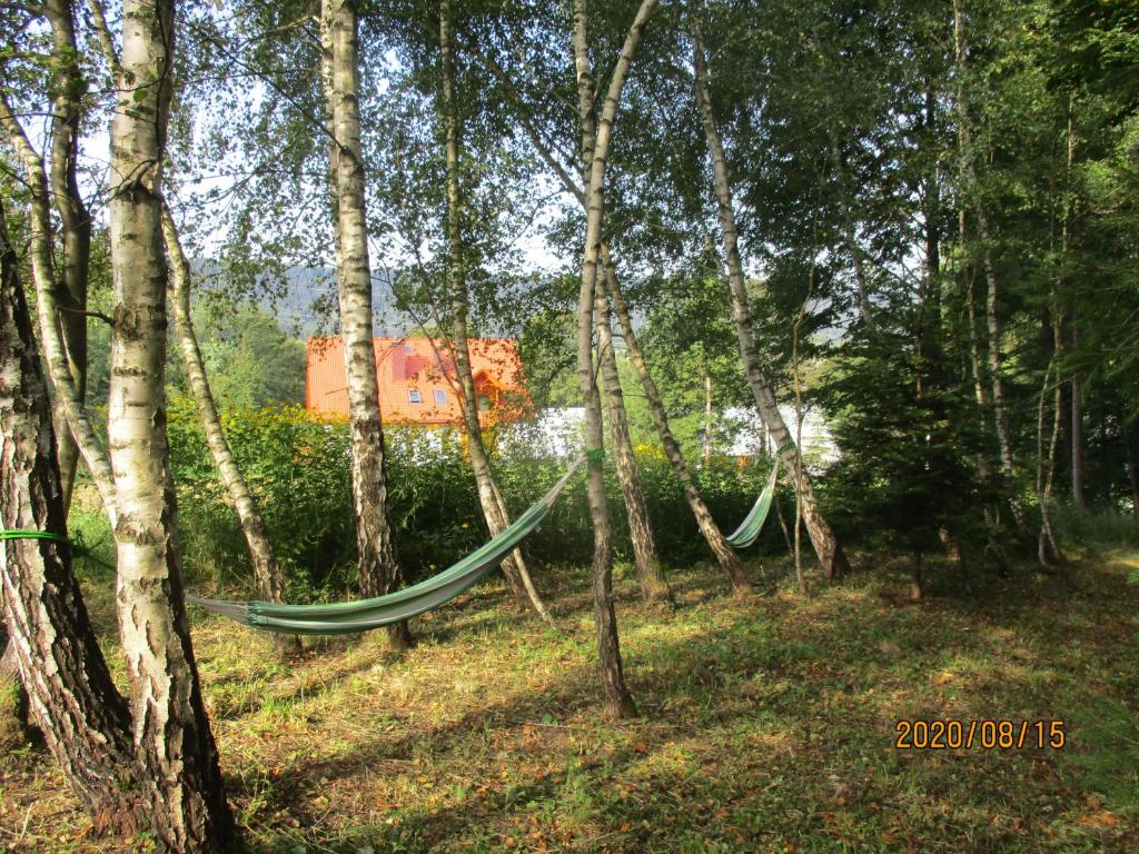 Vonkajšia záhrada v ubytovaní Ranczo w Rabe