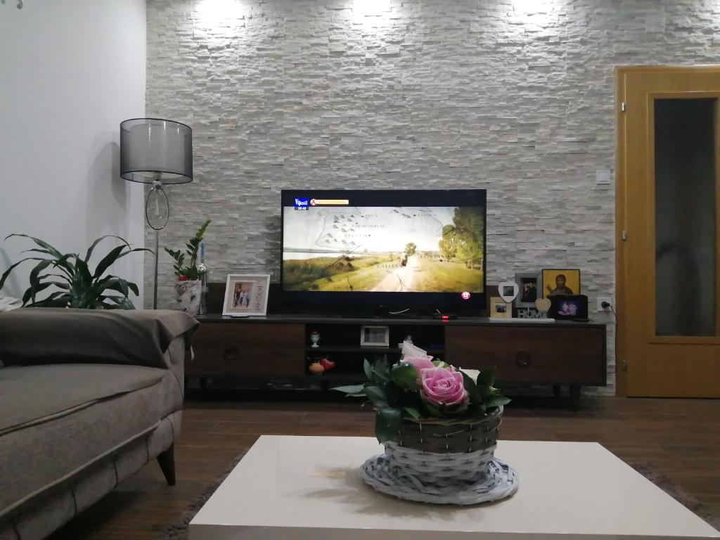 a living room with a television and a flower on a table at Vila Ena in Stanišiči