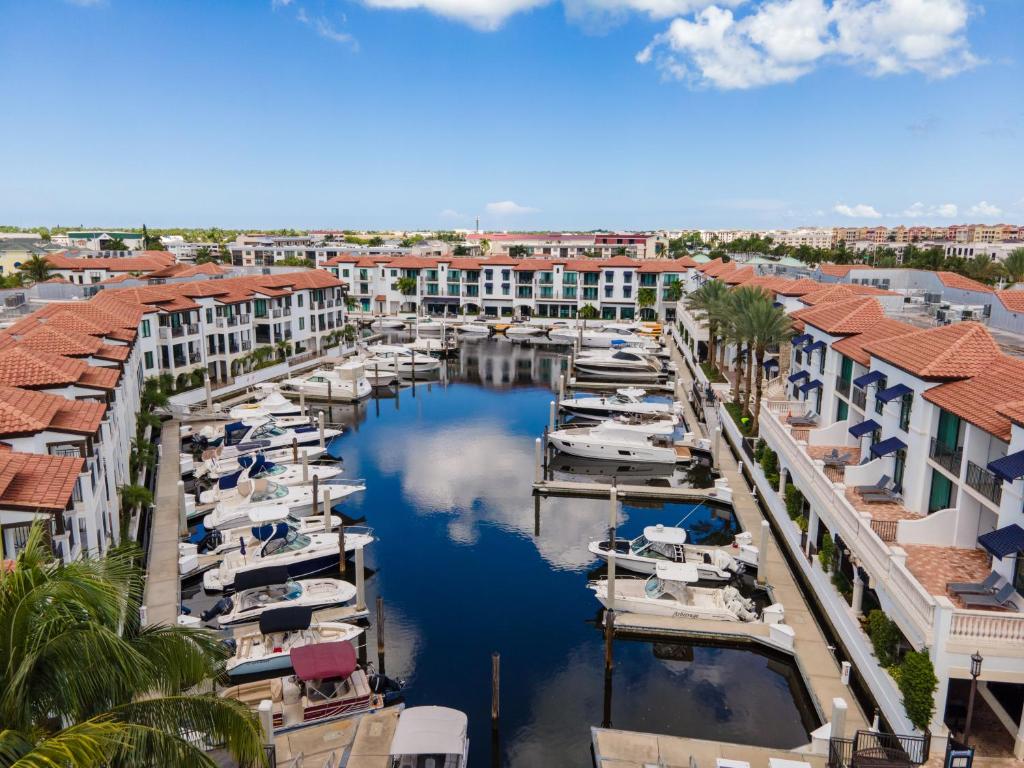 a group of boats docked in a marina at Naples Bay Resort and Marina in Naples