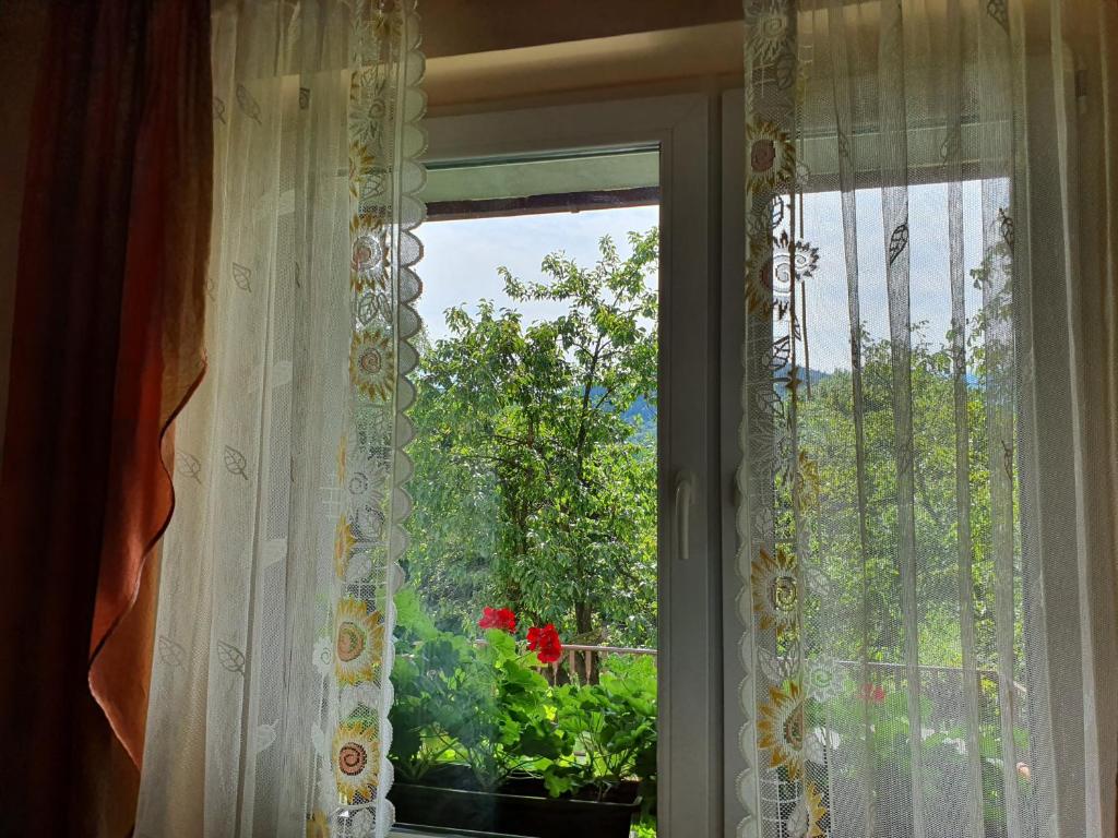 Apartamenty Straconka ,Bielsko-Biala - Appartamento Con Tre Camere Da Letto