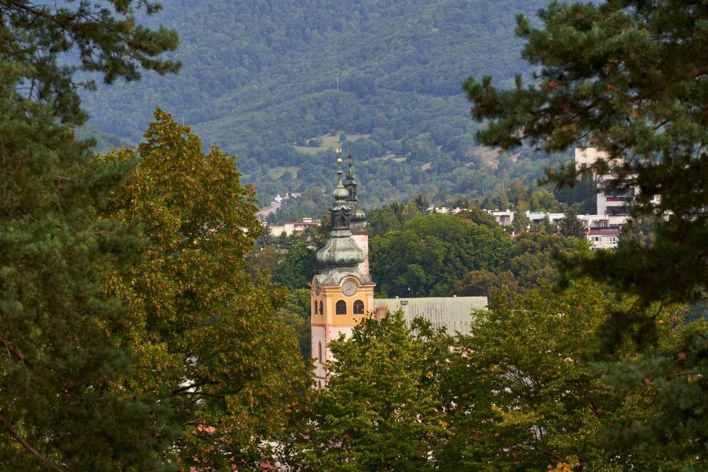 Príroda v okolí apartmánu