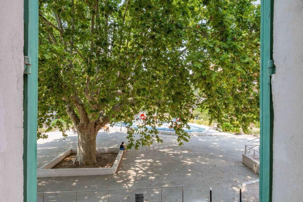 Jardin de l'établissement Le Vallombrosa T2