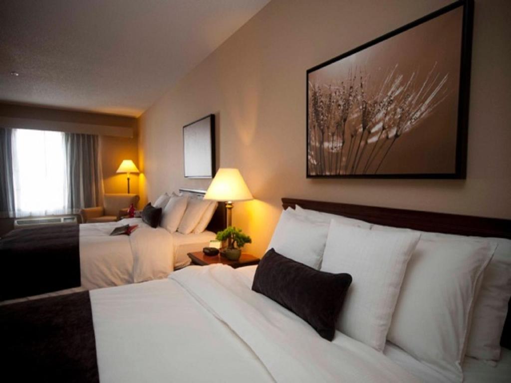 Town & Country Inn and Suites - Habitación Queen Con Dos Camas Queen