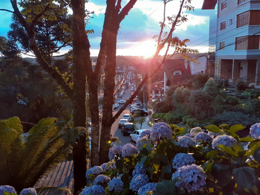 Jardim Panoramico - Flat  Jardim Panoramico - Flat