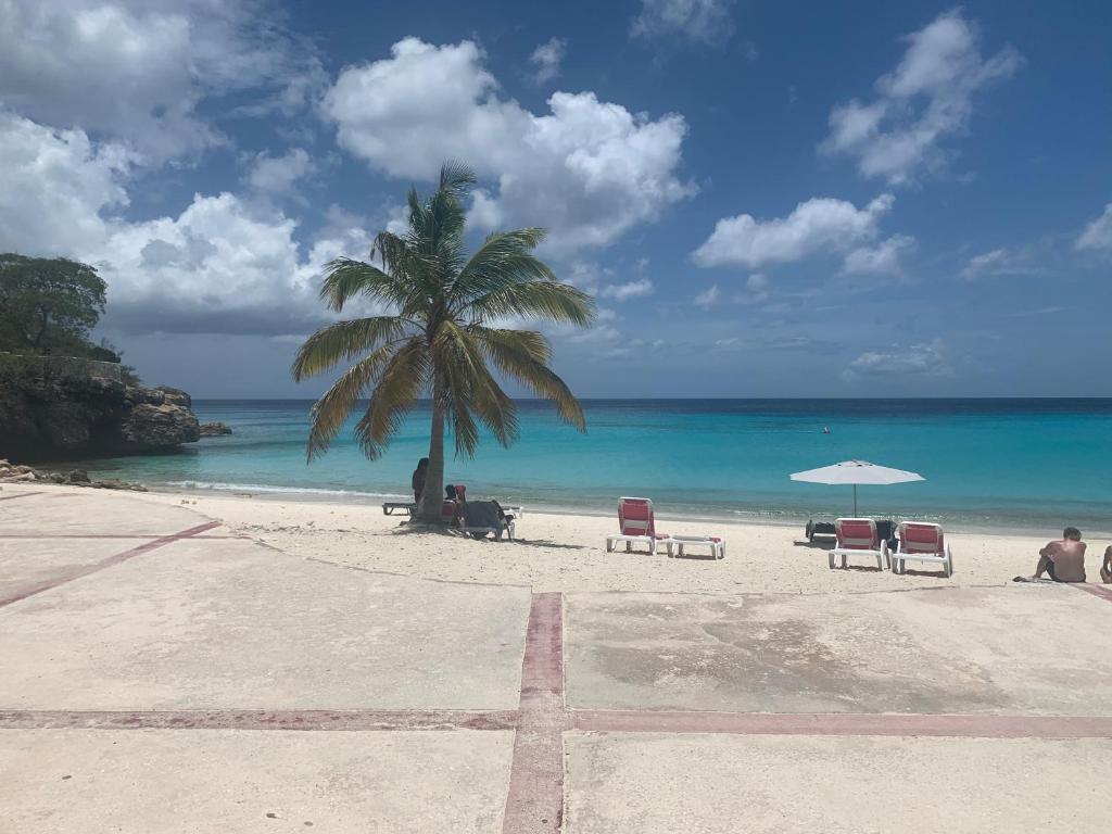 a beach with chairs and a palm tree and the ocean at Blije Rust 10 in Willemstad