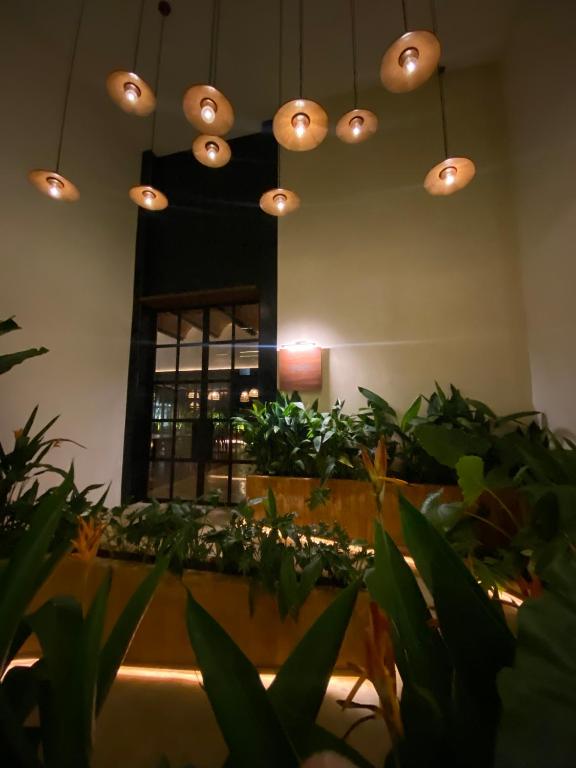 Fotografie z fotogalerie ubytování Las Brisas Merida v destinaci Mérida