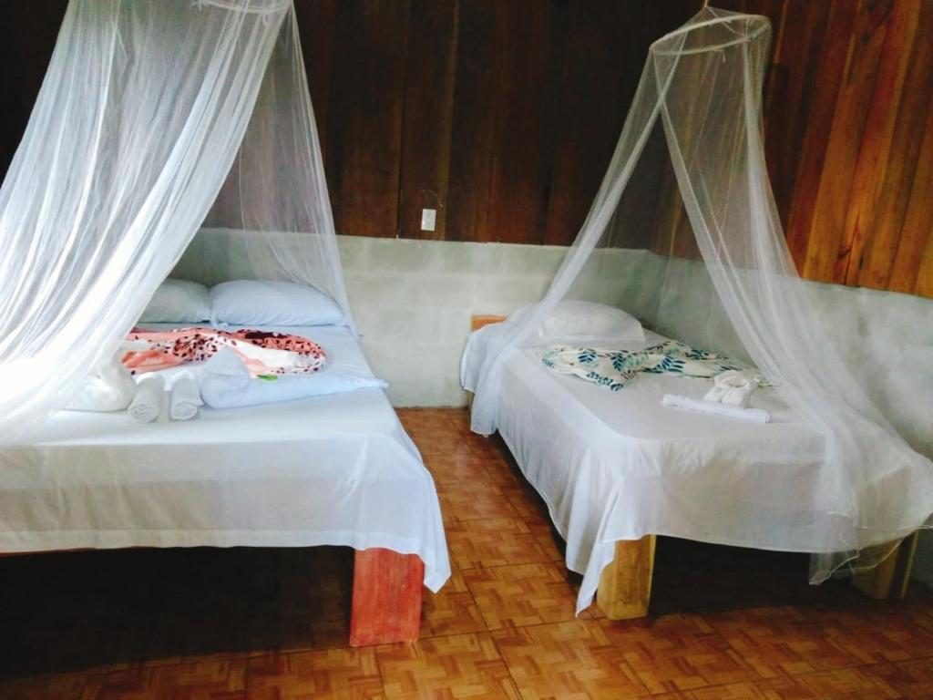 San Rafael的住宿－Posada Rio Celeste in，一间卧室配有两张带蚊帐的床