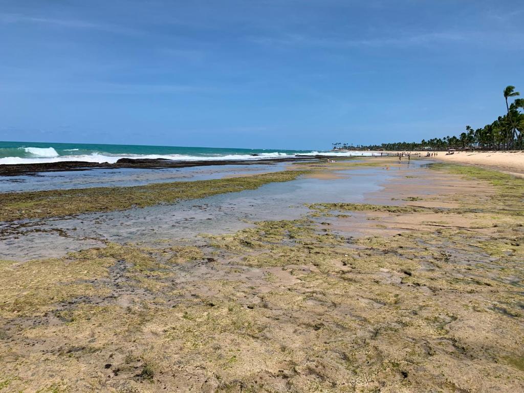  Flat Beach Class Muro Alto
