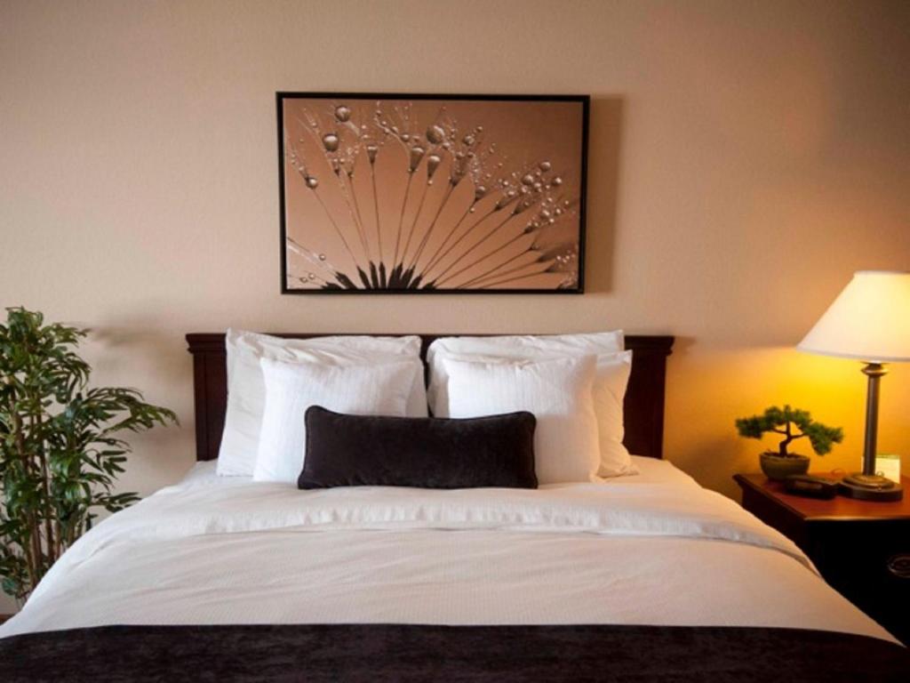 Town & Country Inn and Suites - Cuarto King
