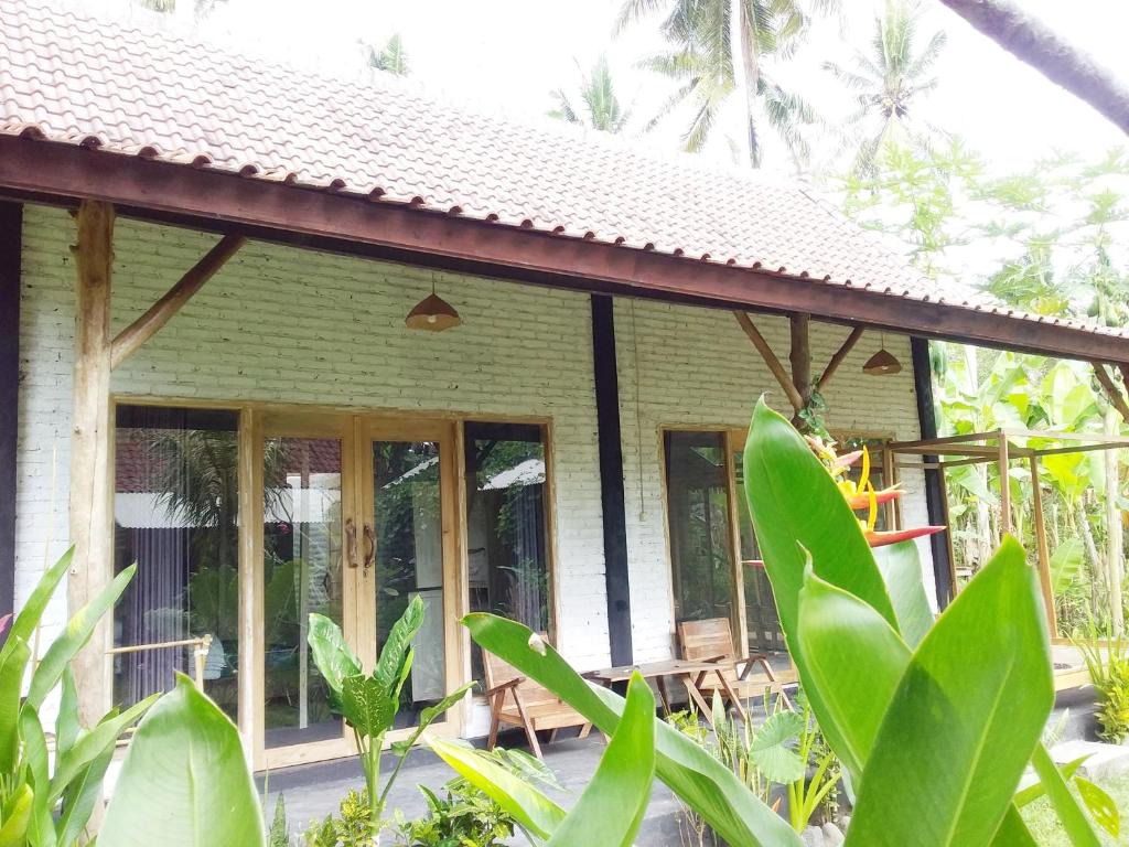 Jungle House - surf & stay - 8