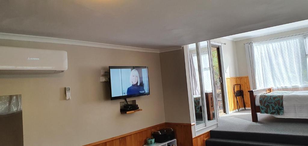 TV a/nebo společenská místnost v ubytování Cradle Alpine Retreat