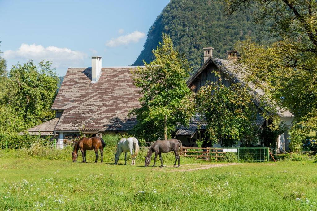 tres caballos pastando en un campo frente a una casa en Charming blacksmith`s house @ Lake Bohinj, en Bohinj