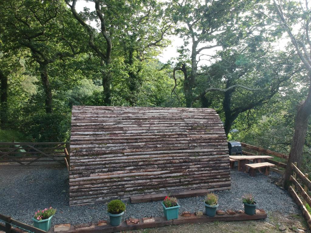 Zahrada ubytování Owl Hut Cosy Ensuite Pod Snowdonia Coast Sleeps 2
