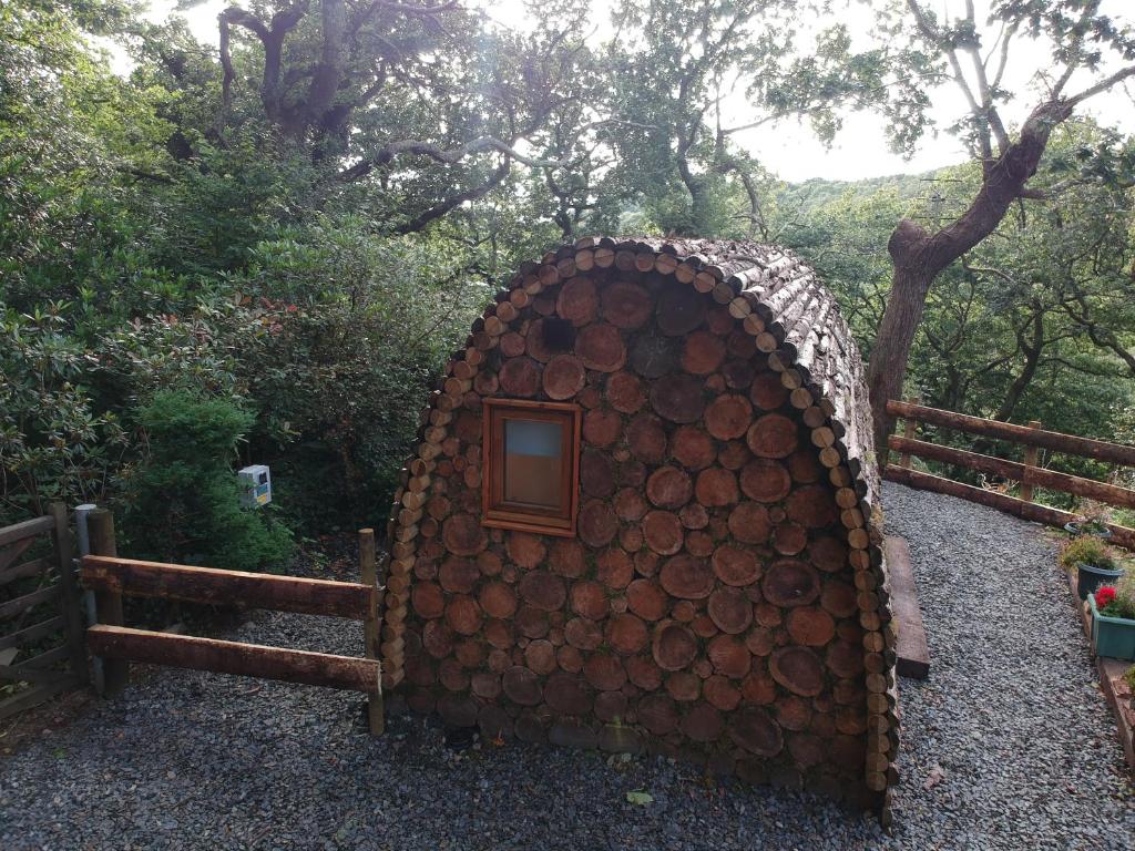 Zahrada ubytování Owl Hut Cosy Ensuite Pod Snowdonia Coast Sleeps 2