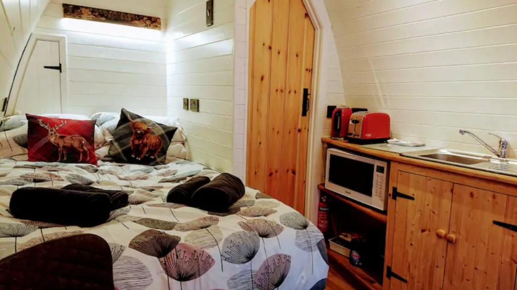 Kuchyň nebo kuchyňský kout v ubytování Owl Hut Cosy Ensuite Pod Snowdonia Coast Sleeps 2
