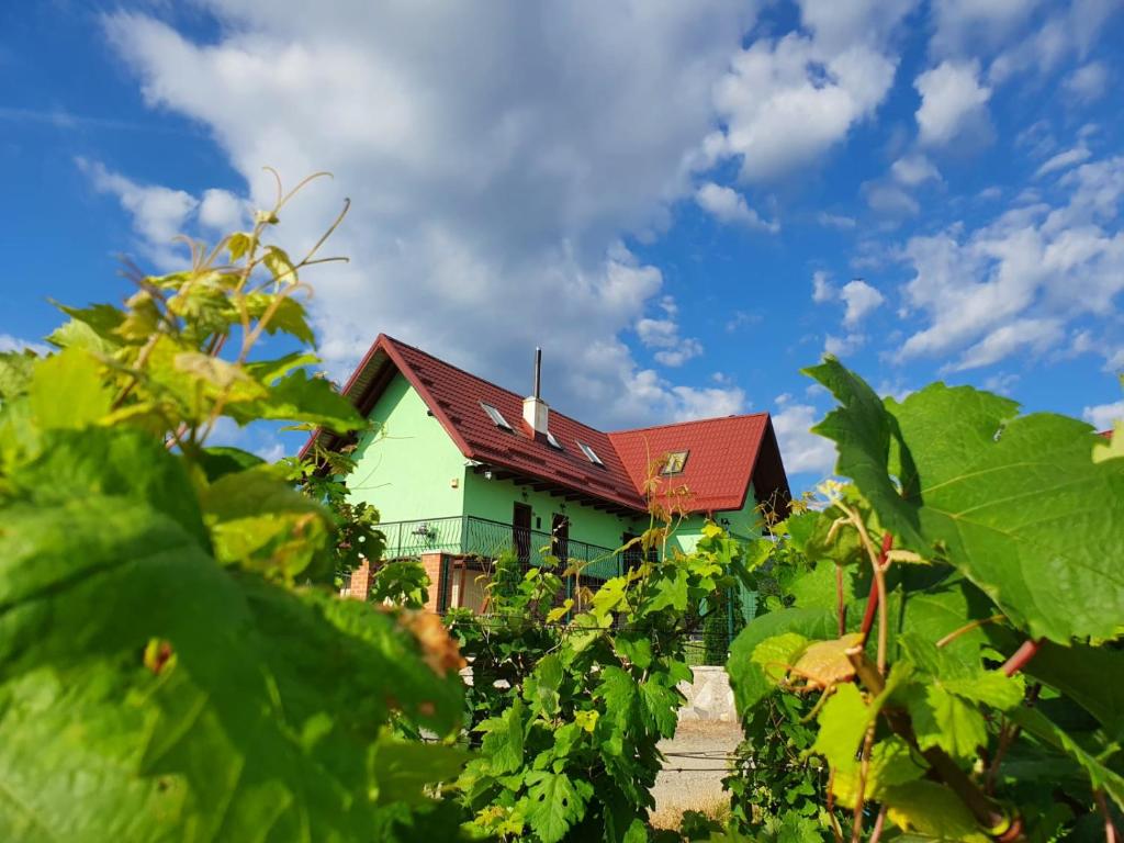 a house in the middle of a field of grapes at Cabana Dintre Vii in Apoldu de Sus